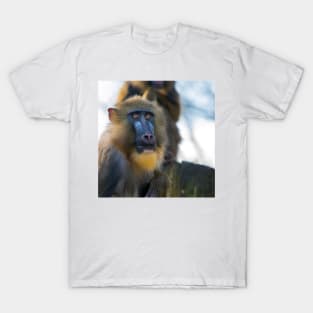 Mandrill 008 T-Shirt